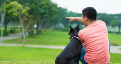 Dogs understand pointing better than cats, study finds